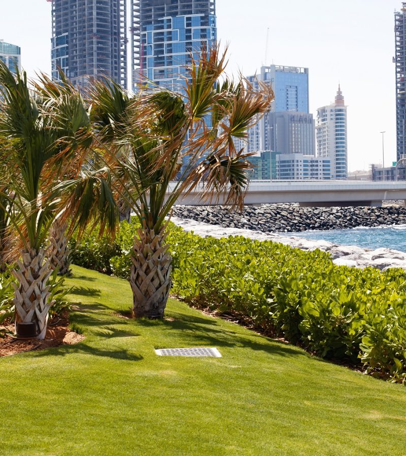 Dubai, UAE, April 2019 The construction of high-rise buildings in Dubai. View from the Blue Water Island